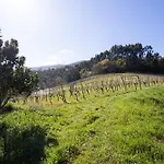 Casa rural Basarte