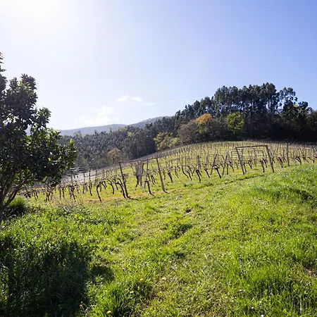Casa rural Basarte Baserria
