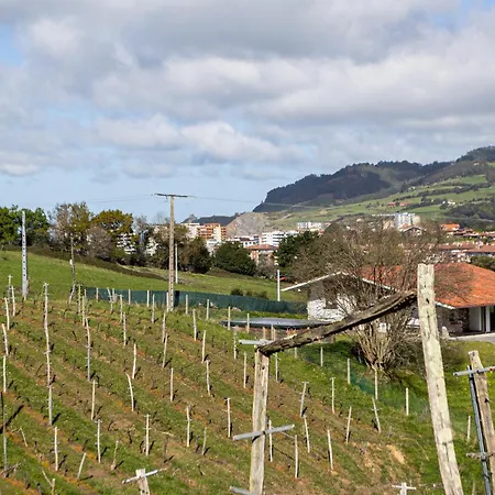 Casa rural Basarte Baserria