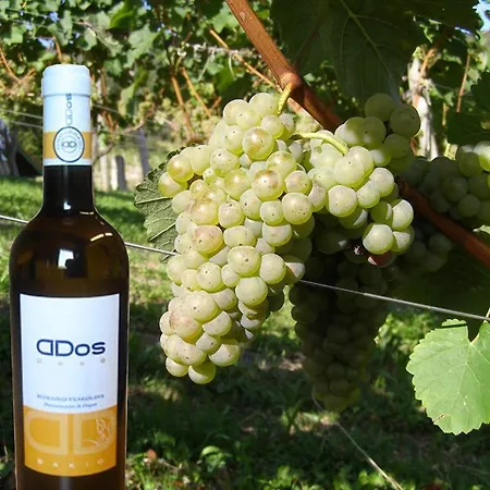 Basarte Baserria Casa rural Bakio