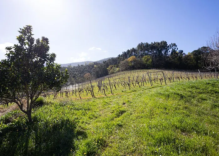 乡村民宿 Casa Rural Basarte