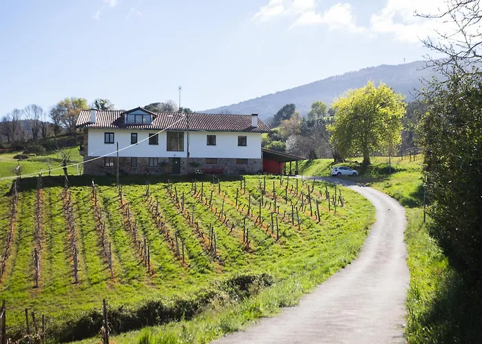 Casa Rural Basarte 乡村民宿 巴基奥