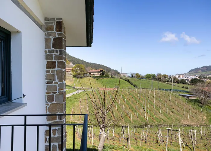 Casa Rural Basarte 乡村民宿 巴基奥