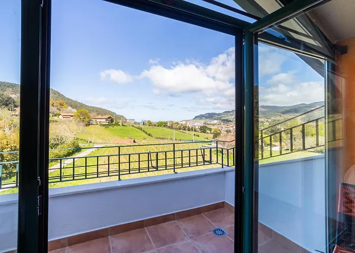 Casa Rural Basarte 巴基奥