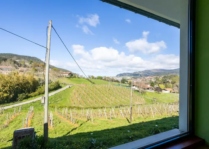 Casa Rural Basarte 乡村民宿 *