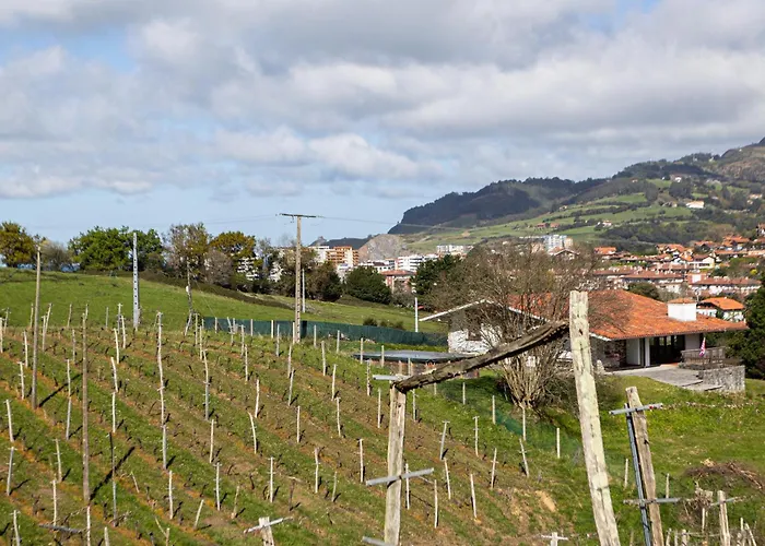 乡村民宿 Casa Rural Basarte