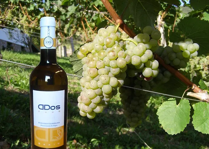 Casa Rural Basarte 乡村民宿 巴基奥